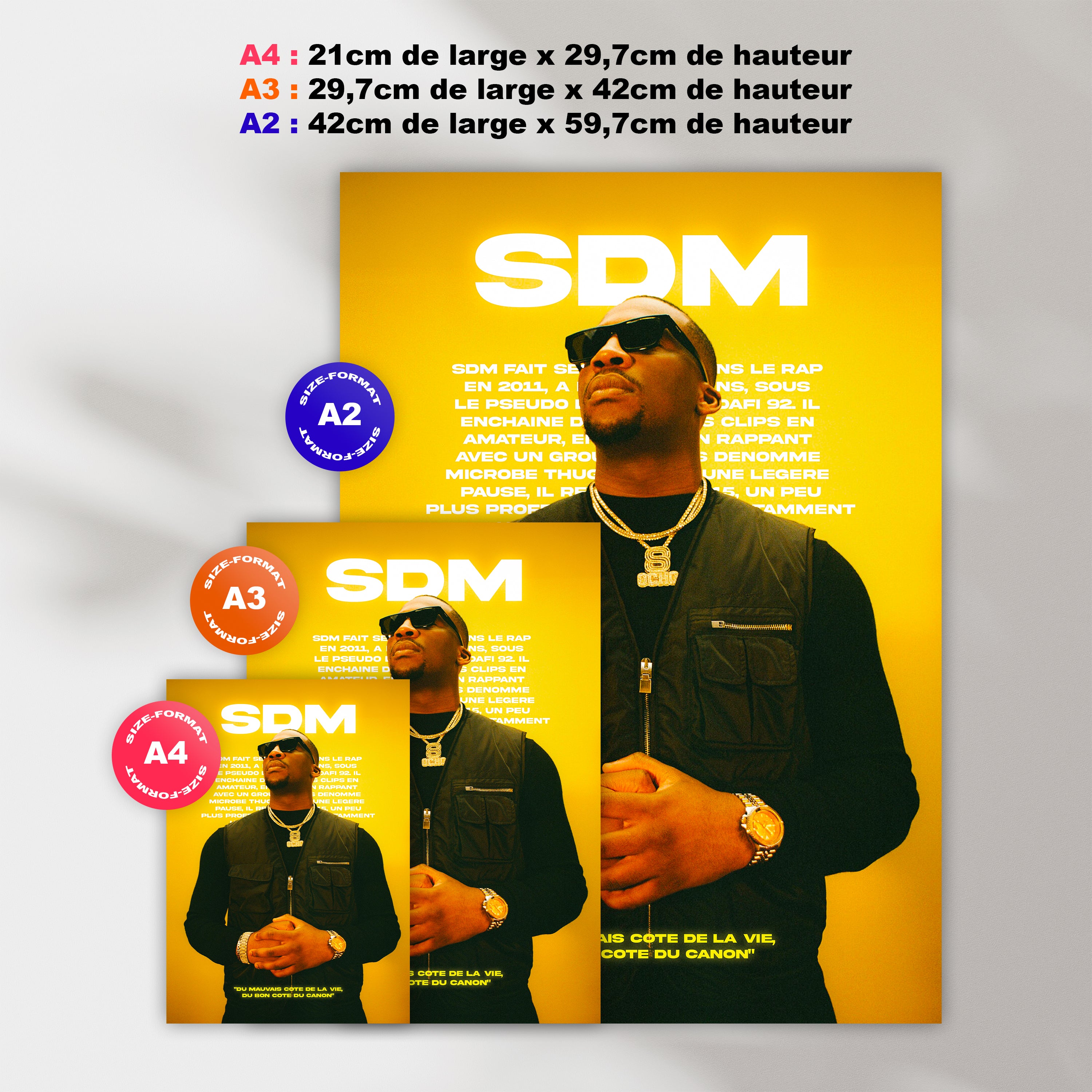 Poster SDM
