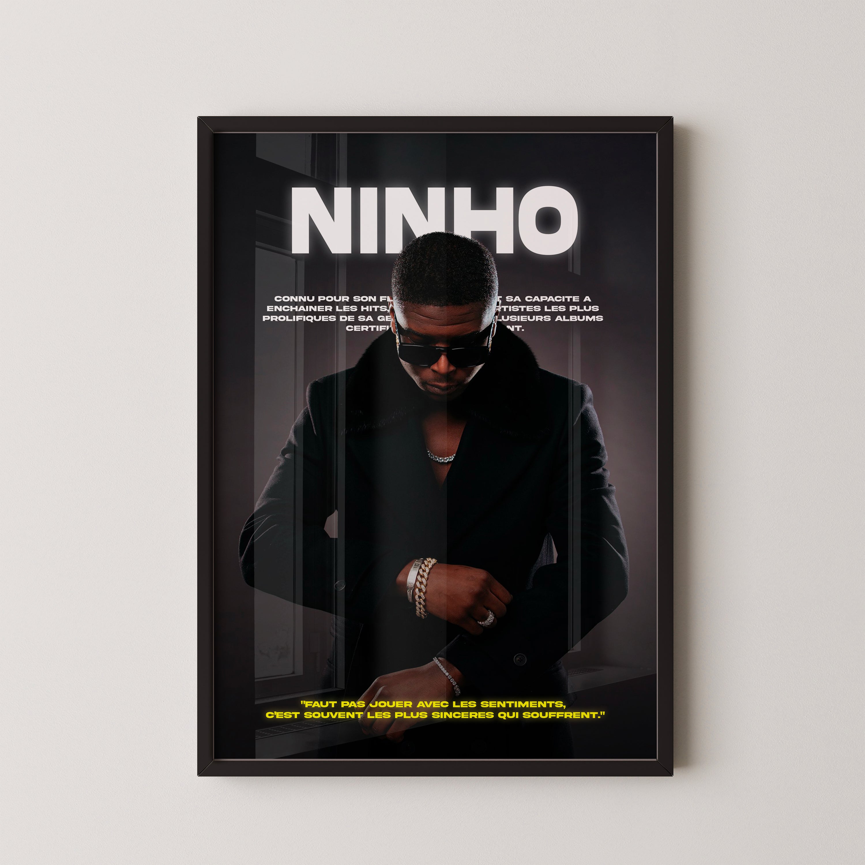 Poster Ninho